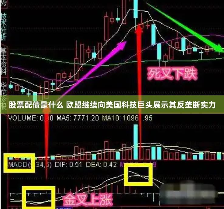 股票配债是什么 欧盟继续向美国科技巨头展示其反垄断实力