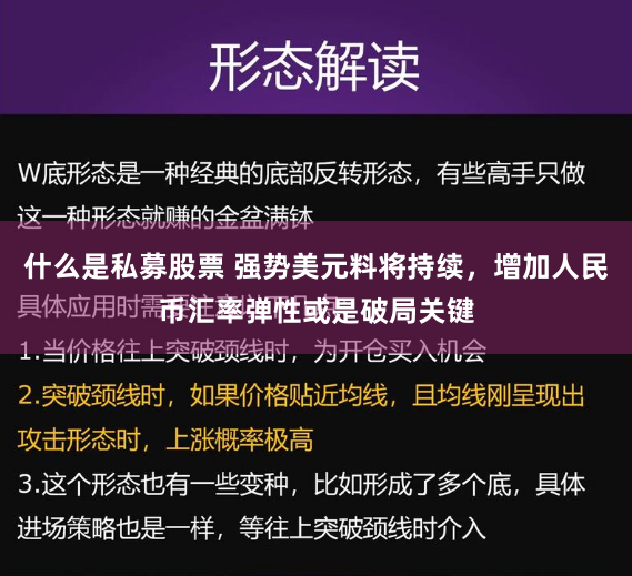 什么是私募股票 强势美元料将持续，增加人民币汇率弹性或是破局关键
