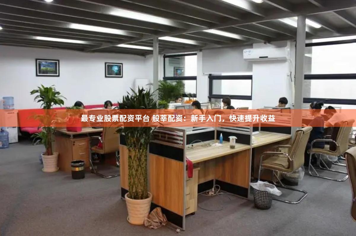 最专业股票配资平台 股莘配资：新手入门，快速提升收益