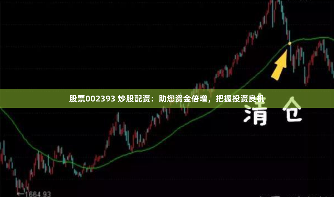 股票002393 炒股配资：助您资金倍增，把握投资良机