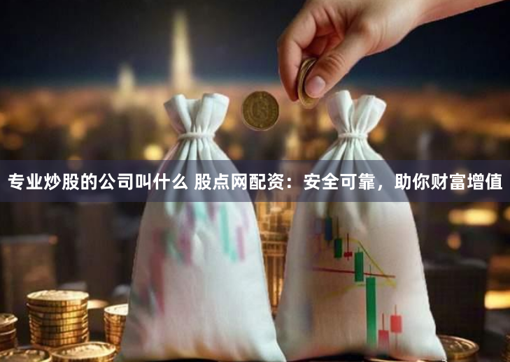 专业炒股的公司叫什么 股点网配资：安全可靠，助你财富增值