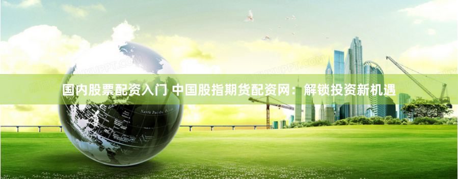 国内股票配资入门 中国股指期货配资网：解锁投资新机遇